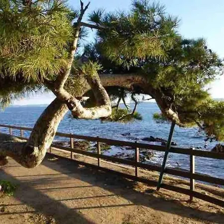 Apartamento L'escale Carqueiranne