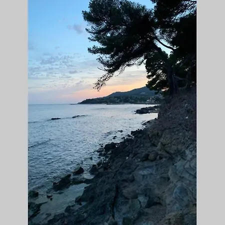 L'escale Carqueiranne