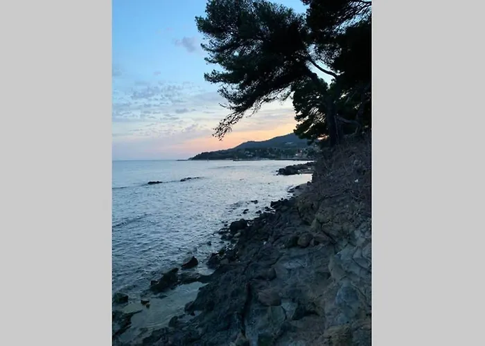 L'escale Carqueiranne